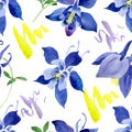 Blue aquilegia floral botanical flowers. Watercolor background illustration set. Seamless background pattern. Royalty Free Stock Photo