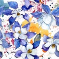 Blue aquilegia flower. Floral botanical flower. Seamless background pattern.