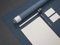 Blue architectural business mockup. 3d rendering Royalty Free Stock Photo