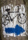 Blue arrow painted on tree bark Royalty Free Stock Photo