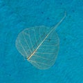 Blue art surface with dried leaf