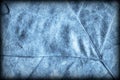 Blue Autumn Foliage Background Vignetted Grunge Texture Royalty Free Stock Photo