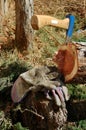 Blue Axe in Tree with workman gloves Royalty Free Stock Photo
