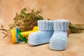 Blue baby boy booties, rattle and flowers on textile background. Baby birthing concept. Footwear for infants.