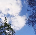 blue background, beautiful sky, white clouds, for postcards Royalty Free Stock Photo