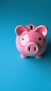 Blue background contrast Pink piggy bank, simple and vibrant