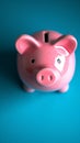 Blue background contrast Pink piggy bank, simple and vibrant