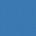 Blue background with a convex texture realistic putty Royalty Free Stock Photo