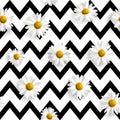 703_Vector realistic daisies seamless pattern black and white striped zigzag background