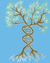 Blue background of genetical tree