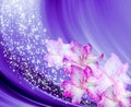 Blue background with gladioli Royalty Free Stock Photo