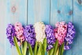 Blue background with hyacinthus