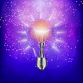 Light bulb isolated. Illustration. Royalty Free Stock Photo