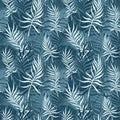 BLUE BACKGROUND WITH PALM AND MONSTERA LEAVES Royalty Free Stock Photo