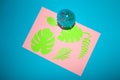 blue background with pink paper with green leaf and parasol, creative sea jungle concept, tropical leaf Royalty Free Stock Photo