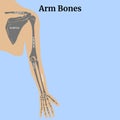 Blue background with a silhouette of a man and the anatomy of the bones of an arm with a shoulder blade