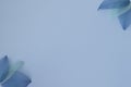 Blue background with skeletons of white and paleblue leaves or petals in the corners of the leaf. Flat plan, top view Royalty Free Stock Photo