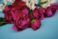 blue backgrounds red peony close-up day still life freshness white digitalis
