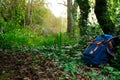 Blue backpack with blue binoculars over it, backed on a tree, in the middle of the forest, on a exploration trip