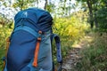 Blue Backpack with Orange Straps in a Forest Setting Royalty Free Stock Photo