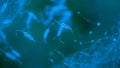 blue bacteria swimming in an underwater environment, Microscopic view bioluminescent backdrop Royalty Free Stock Photo