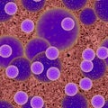Blue bacteria or virus spheres in blood, generated texture Royalty Free Stock Photo