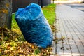 Blue bag with leaves near paving stones