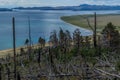 Blue Baikal lake. Dry dead brocken trunks stumps among felled trees and green bushes after fire in grass on slope of mountain. Royalty Free Stock Photo