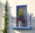 Blue balcony with a flower in a white house with ivy Royalty Free Stock Photo