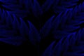 Blue fractal background Royalty Free Stock Photo