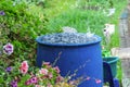 A blue barrel for collecting rainwater. Collecting rainwater in plastic container. Collecting rainwater for watering the