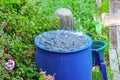 A blue barrel for collecting rainwater. Collecting rainwater in plastic container. Collecting rainwater for watering the Royalty Free Stock Photo