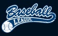 Blue baseball league banner with ball