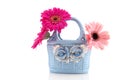 Blue basket flowers Royalty Free Stock Photo