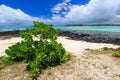 Blue Bay Beach, Mauritius Royalty Free Stock Photo