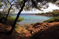 Blue Bay Mediterranean Coast Line through Pines Royalty Free Stock Photo