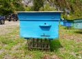 Blue bee hives on an apiary in the Caucasian mountains Royalty Free Stock Photo