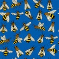 Blue bee pattern