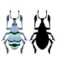 Blue beetle bug vector illustration