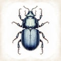 Vintage-style Water Beetle Illustration On White Background Royalty Free Stock Photo