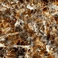 Marble stone texture can use as background Royalty Free Stock Photo