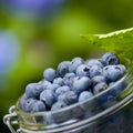 Blue berries Royalty Free Stock Photo
