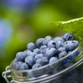 Blue berries