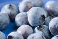 Blue berries in a blue bowl Royalty Free Stock Photo
