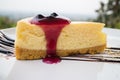 Blue berry cheese cake Royalty Free Stock Photo