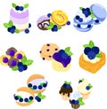 The cute icons of blueberries Royalty Free Stock Photo