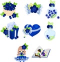 The cute icons of blueberries Royalty Free Stock Photo