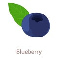 Blue berry icon, isometric 3d style