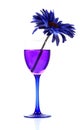 Blue-berry party drink Royalty Free Stock Photo