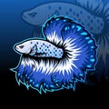 Blue Betta Multy color Fish Mascot Vector Illustration. Esport Logo Concept Isolated on Navy Background